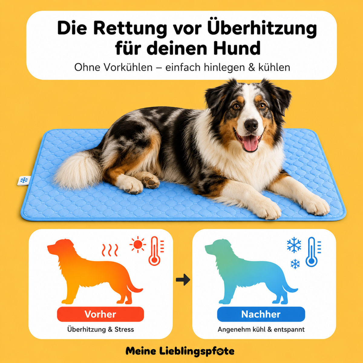 Kühlende Hundematte