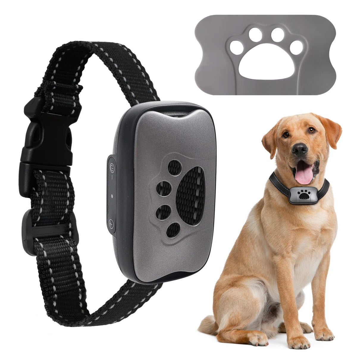 Anti-Bell Halsband Hund ohne Strom – Vibration & Ton