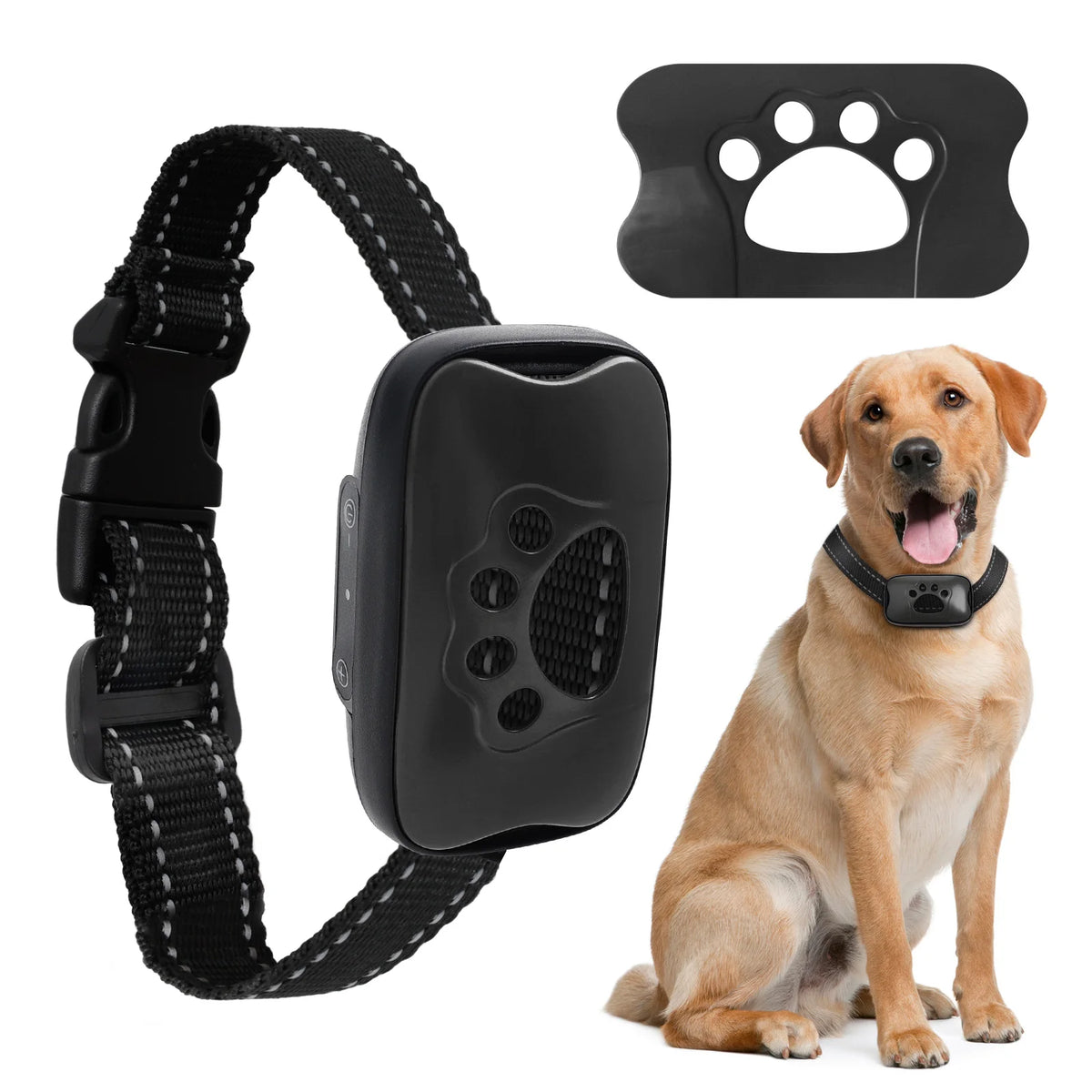Anti-Bell Halsband Hund ohne Strom – Vibration & Ton