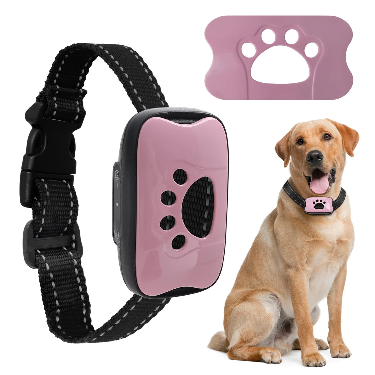 Anti-Bell Halsband Hund ohne Strom – Vibration & Ton