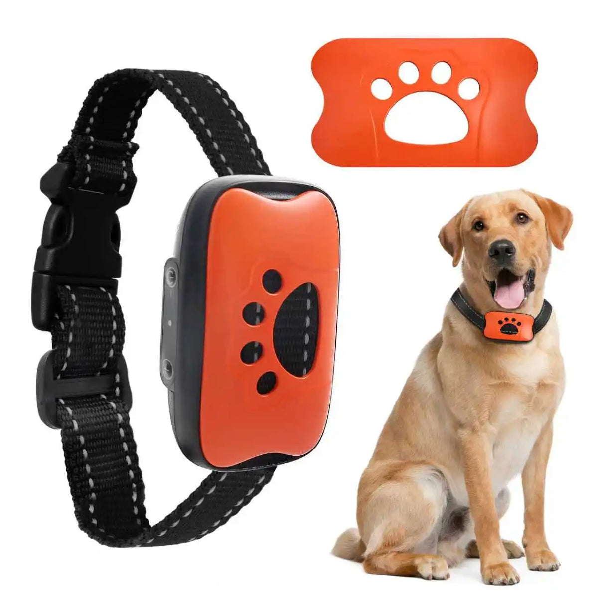 Anti-Bell Halsband Hund ohne Strom – Vibration & Ton