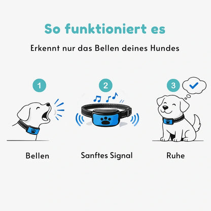 Anti-Bell Halsband Hund ohne Strom – Vibration & Ton