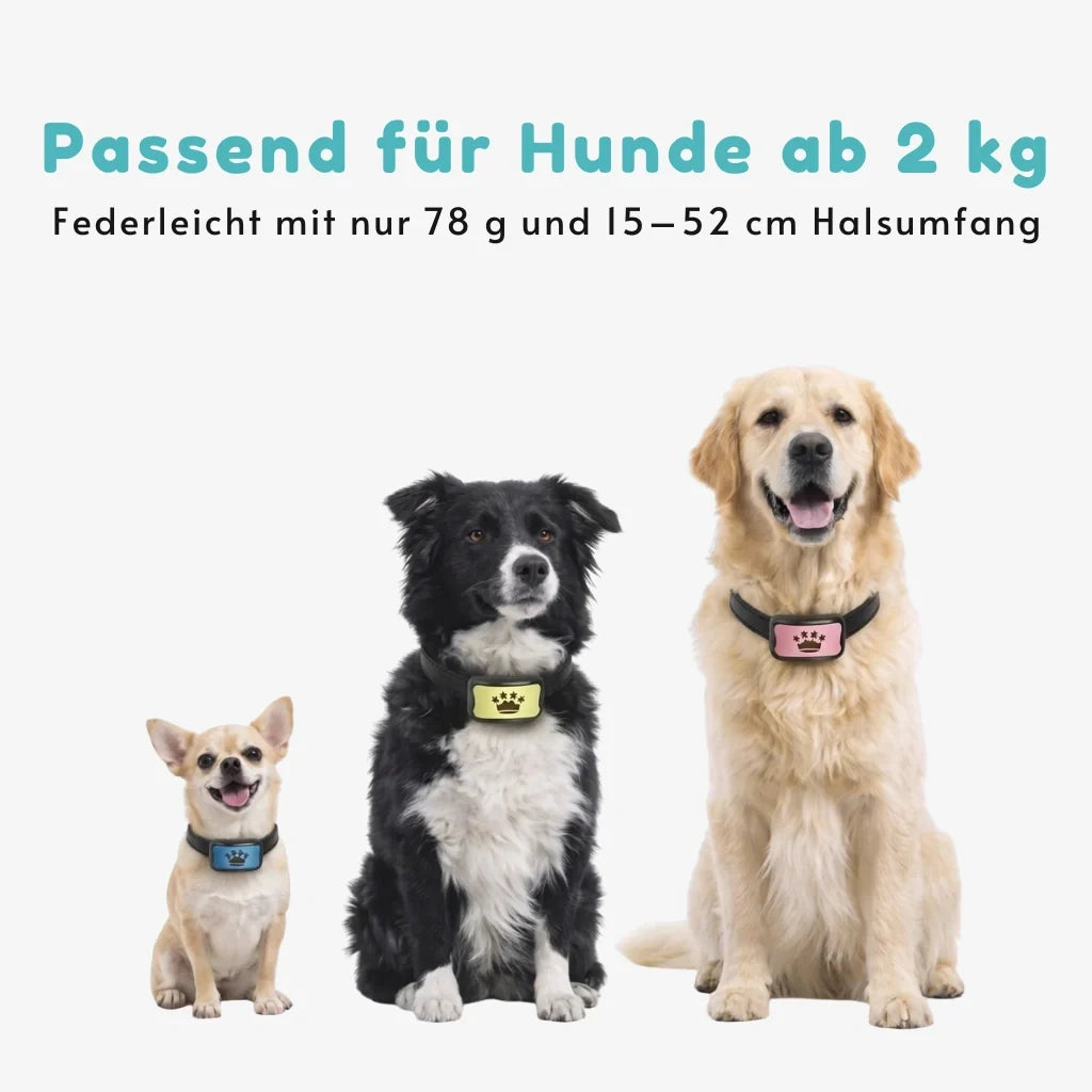Anti-Bell Halsband Hund ohne Strom – Vibration & Ton